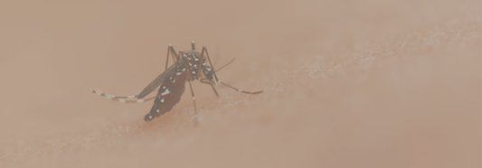 World Mosquito Day: Why It Matters and How Bite Insect Repellent Can Help