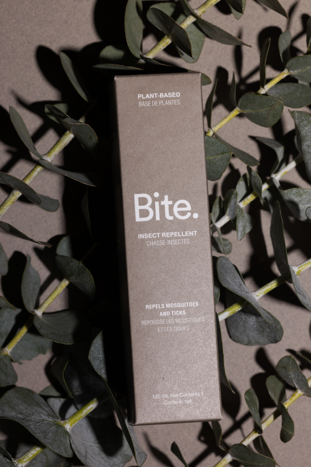 Bite Box on Eucalyptus