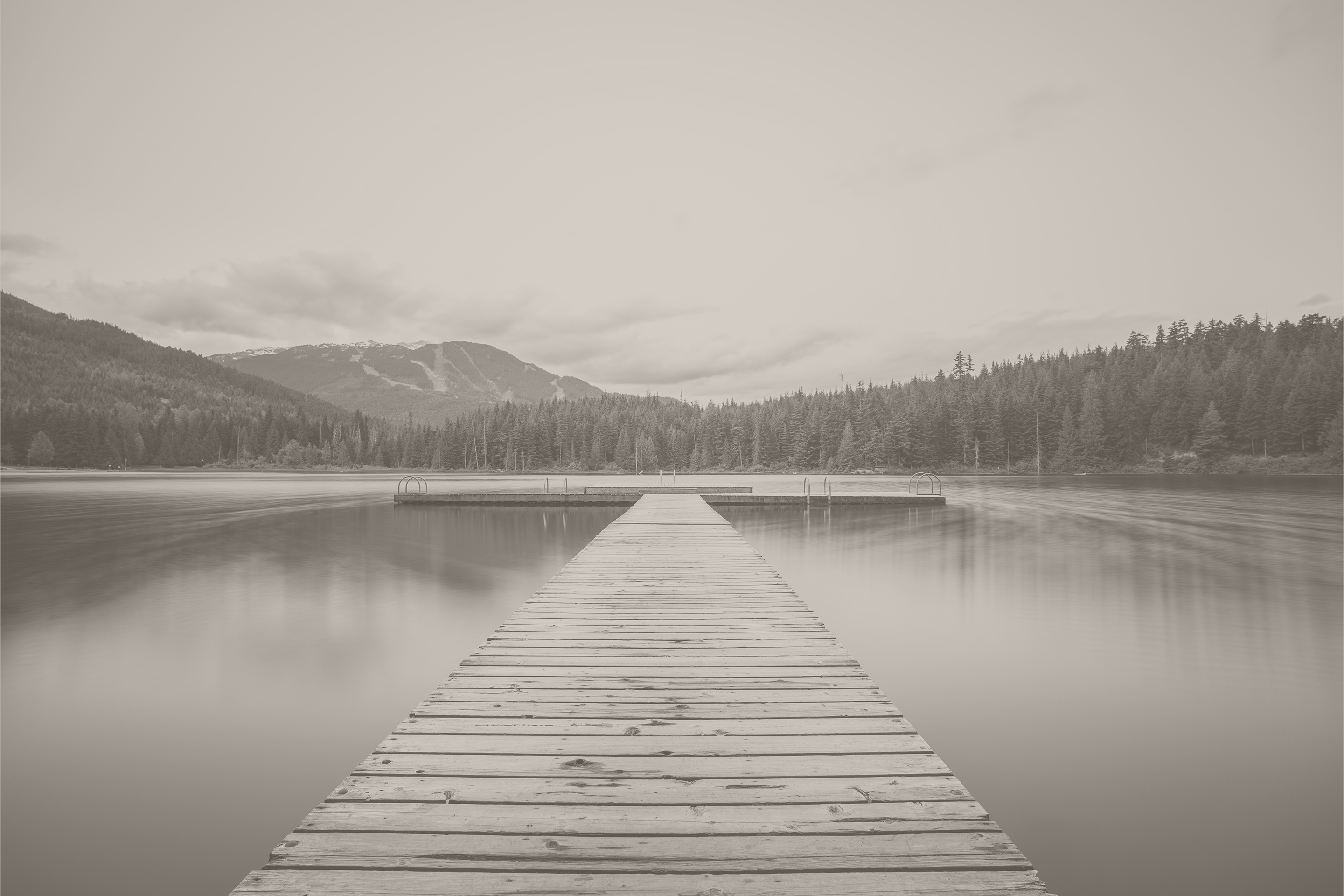 dock in front of stay bite free logo